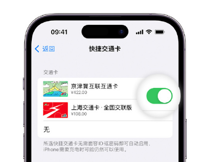 永泰apple维修点分享iPhone上更换Apple Pay快捷交通卡手绘卡面 