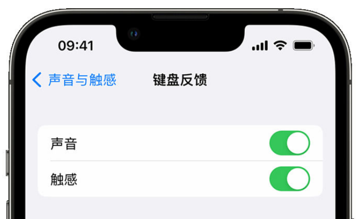 永泰苹果手机维修分享iPhone 14触感键盘使用方法 