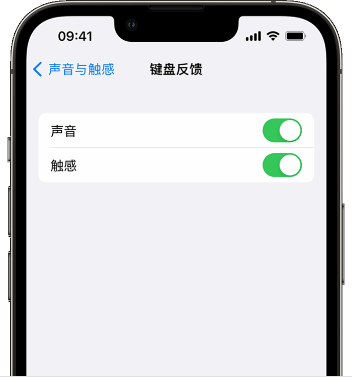 永泰苹果14维修店分享如何在 iPhone 14 机型中使用触感键盘 