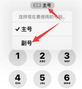 永泰苹果14维修店分享iPhone 14 Pro Max使用副卡打电话的方法 