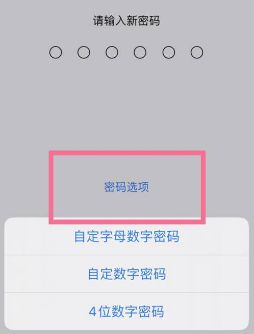 永泰苹果14维修分享iPhone 14plus设置密码的方法 