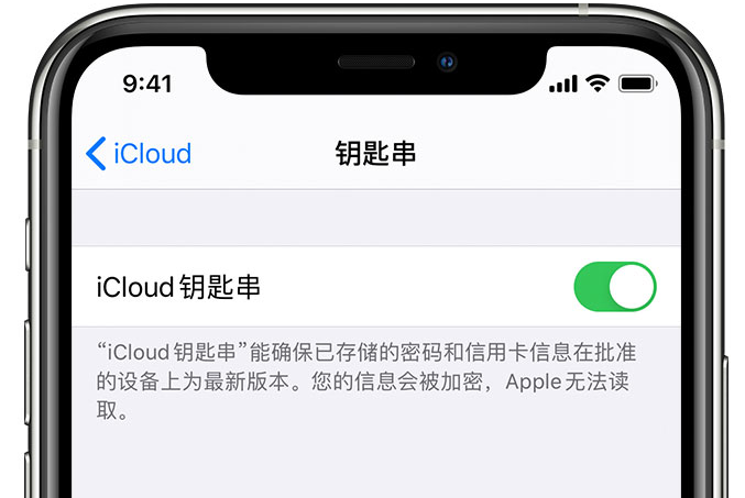 永泰苹果手机维修分享在 iPhone 上开启 iCloud 钥匙串之后会储存哪些信息 